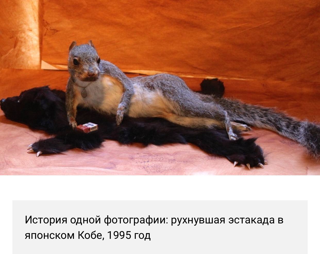 История одной фотографии: рухнувшая эстакада в японском Кобе, 1995 год