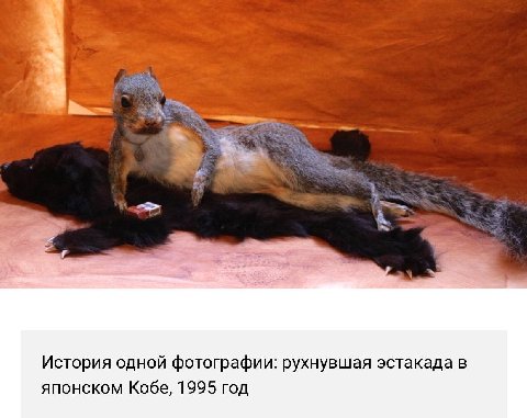 История одной фотографии: рухнувшая эстакада в японском Кобе, 1995 год