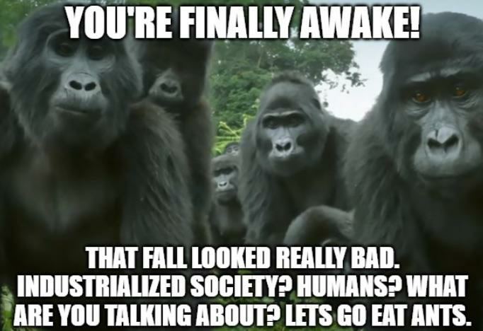 YOU'RE FINALLY. AWAKE! THAT FALL LOOKED REALLY BAD. INDUSTRIALIZED HUMANS? WHAT ARE YOU TALKING LETS EAT ANTS.