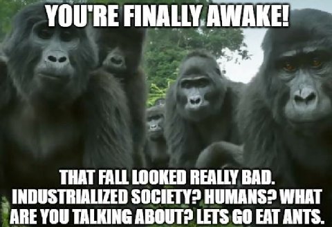 YOU'RE FINALLY. AWAKE! THAT FALL LOOKED REALLY BAD. INDUSTRIALIZED HUMANS? WHAT ARE YOU TALKING LETS EAT ANTS.