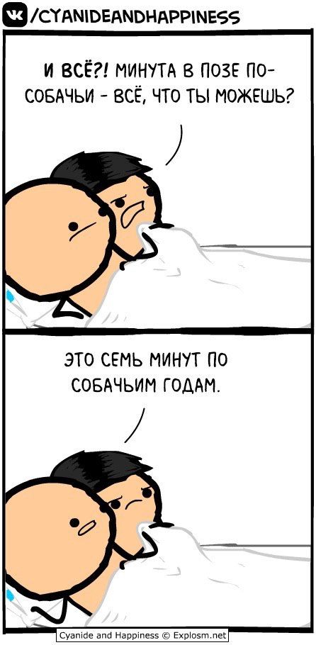 /CYANIDEANDHAPPINESS И ВСЁ?! МИНУТА В ПОЗЕ СОБАЧЬИ ВСЁ, ЧТО ТЫ МОЖЕШЬ? ЭТО СЕМЬ МИНУТ ПО СОБАЧЬИМ ГОДАМ.