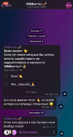 100 Wildberries October 11 Channel created November 9 Всем привет Если тут такие которые бы хотели начать зарабатывать на маркетплейсах в частности Wildberries? в Дааа Нет, спасибо Все кому данная тем