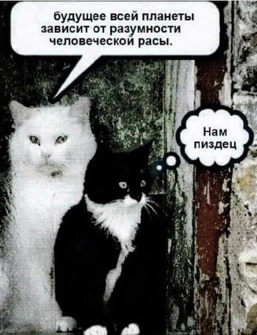 будущее всей планеты зависит от разумности человеческой расы. 4 i a a be 4 у
