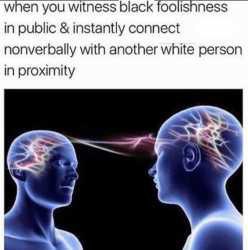 when you witness biack in public instantly connect nonverbally with another white person In proximity