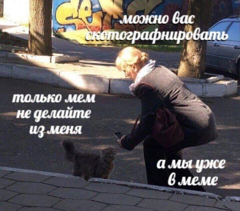 можно бас афнировать только не делайте и3 меня а мы уже 6 meme