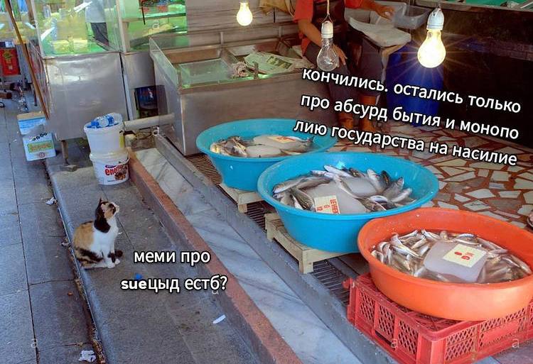 4 4 Остались только абсурд бытия и С лию На насилие меми про 2 зиецыд естб?