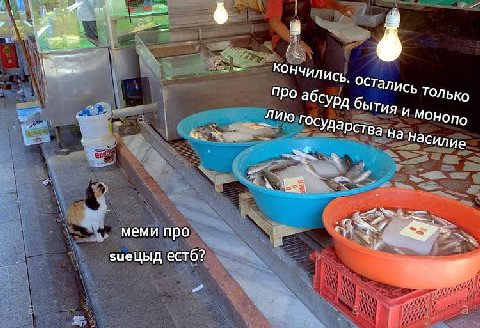 4 4 Остались только абсурд бытия и С лию На насилие меми про 2 зиецыд естб?