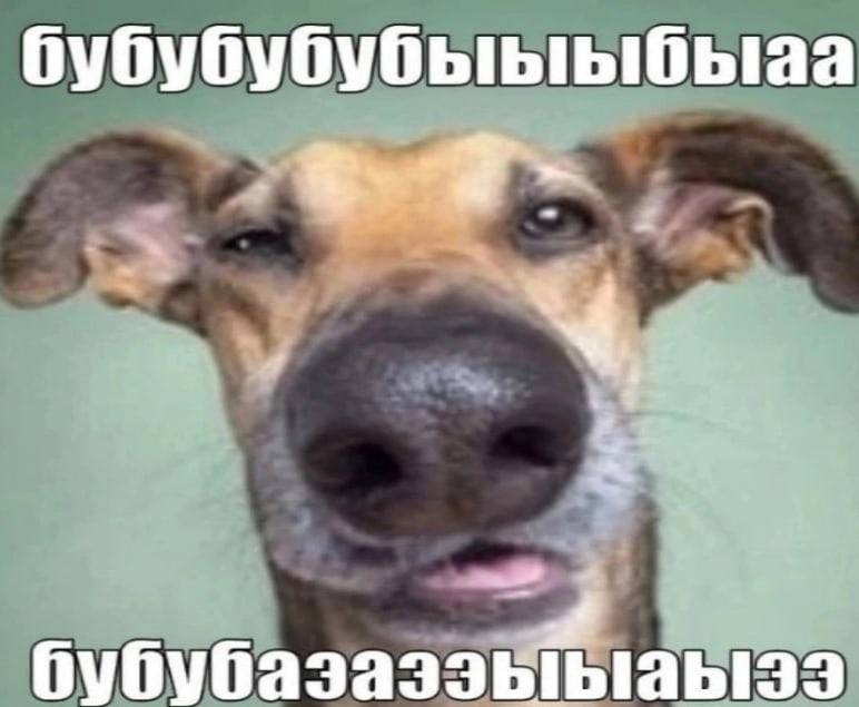 бубубубубыь ыбыаа 1