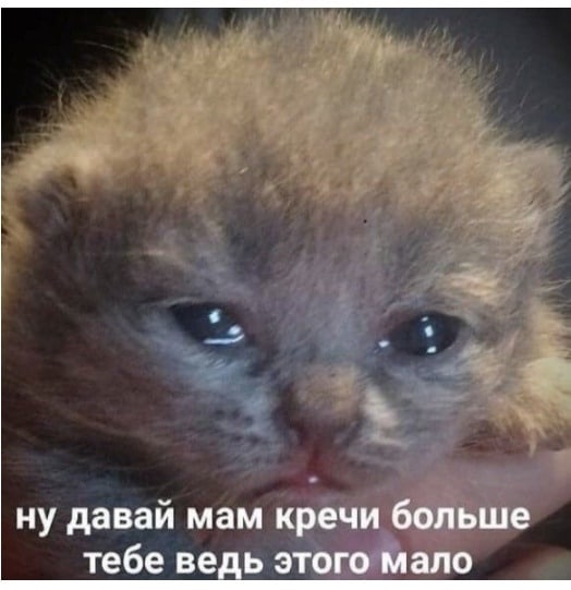 ну давай мам кречи больше тебе ведь этого мало