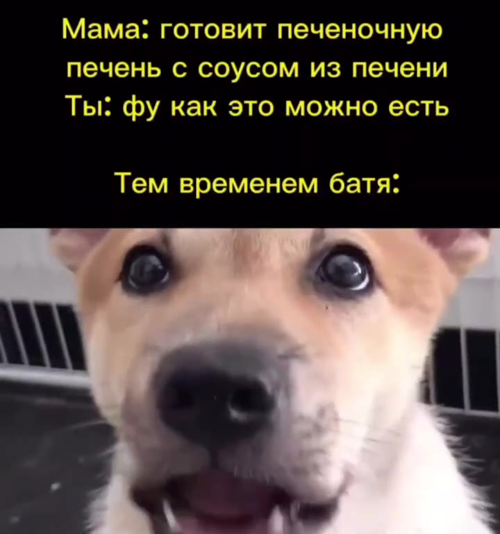 Мама: готовит печеночную печень с соусом из печени Тем временем батя: