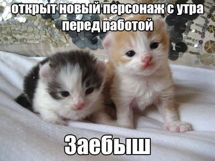 персонаж с утра перед работой A Заебы