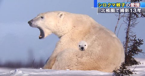 у 3 А