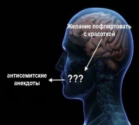 Желание пофлиртовать с красоткой антисемитские анекдоты