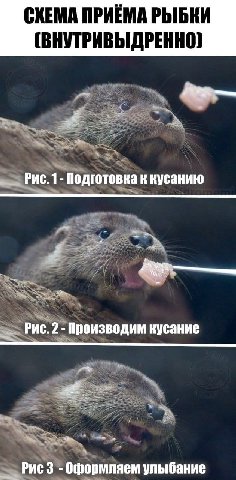 СХЕМА ПРИЕМА РЫБКИ (ВНУТРИВЫДРЕННО) Рис.1- Подготовка к кусанию Puc. 2 Производим кусание Puc 3 Оформляем улыбание
