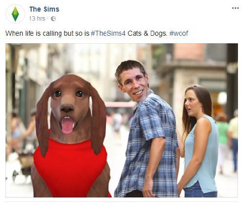 The Sims 13 у When life is calling but so is #TheSims4 Cats Dogs. #woof 7.