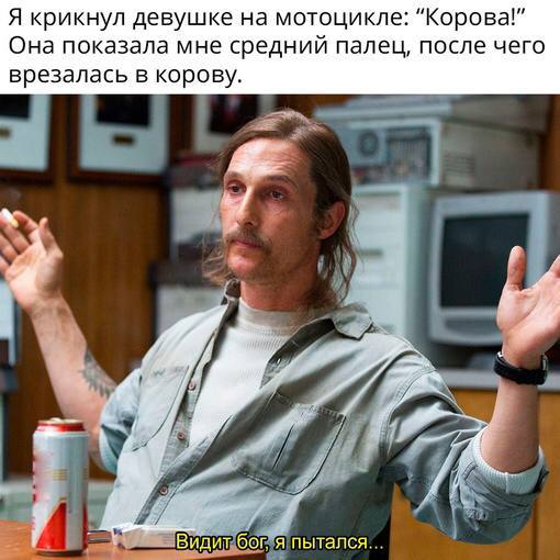 Я крикнул девушке на мотоцикле: "Корова!" Она показала мне средний палец, после чего врезалась в корову. и у у a Видит бог. я пытался.