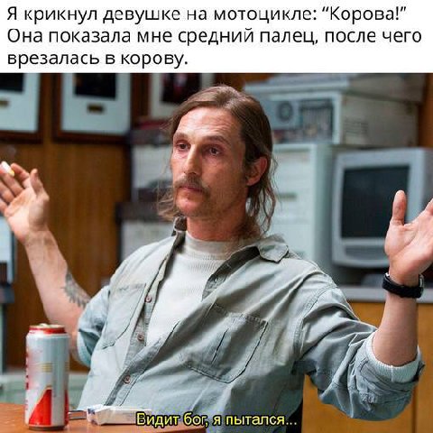 Я крикнул девушке на мотоцикле: "Корова!" Она показала мне средний палец, после чего врезалась в корову. и у у a Видит бог. я пытался.