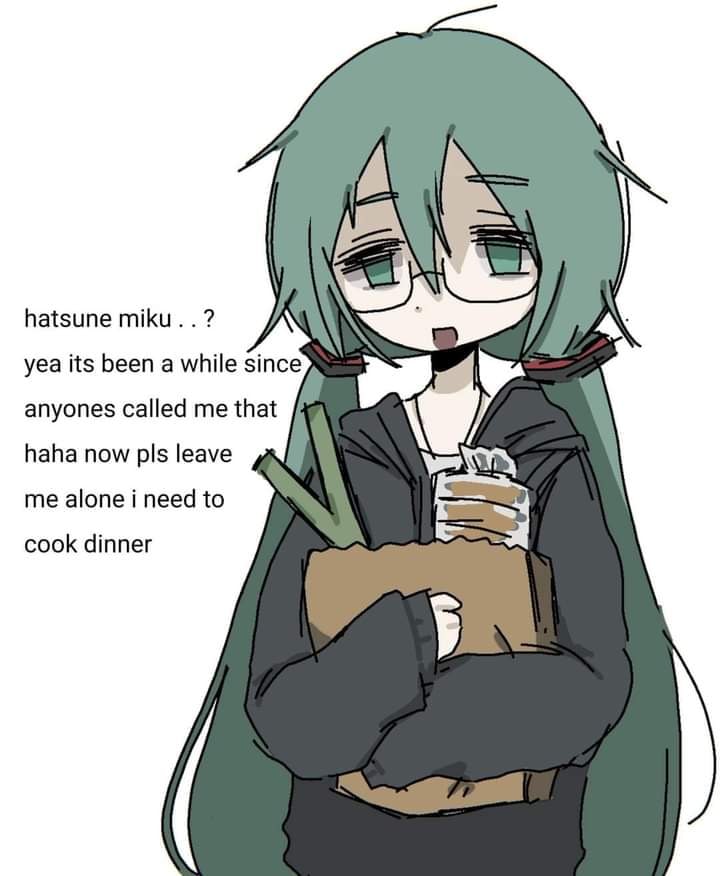 hatsune тки..? yea its been a while since anyones called me that haha now pls leave у me alone i need to cook dinner