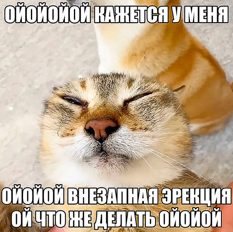 СЯУМЕНЯ 27 22 3772 ВНЕЗАПНА On NATb
