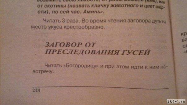 9 от скотины (назвать кличку животного и цвет сти), по сей час. Аминь». Читать 3 раза. Во время чтения заговора место укуса крестообразно. Be ЗАГОВОР ПРЕСЛЕДОВАНИЯ ГУСЕЙ Читать «Богородицу» и при этом