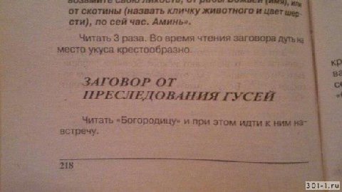 9 от скотины (назвать кличку животного и цвет сти), по сей час. Аминь». Читать 3 раза. Во время чтения заговора место укуса крестообразно. Be ЗАГОВОР ПРЕСЛЕДОВАНИЯ ГУСЕЙ Читать «Богородицу» и при этом