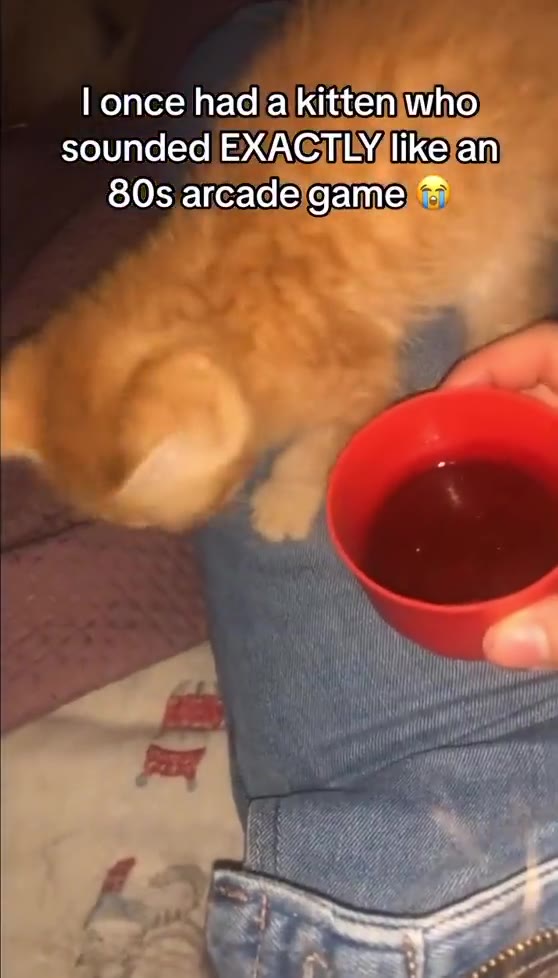 lfonce)hadfalkitten|who sounded ЕХАСЛЕИКе'ап sounded EXACTLY like an