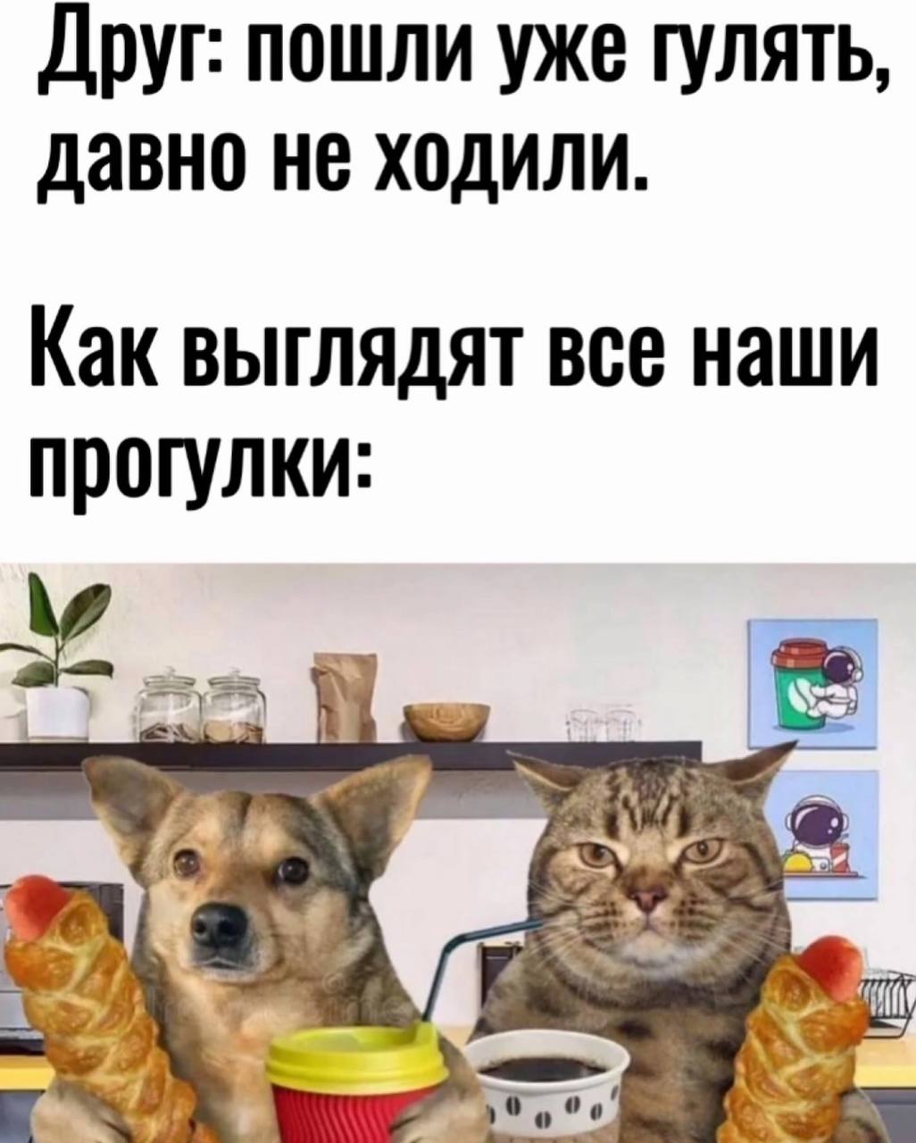 Друг: пошли уже гулять, давно не ходили. Как выглядят все наши прогулки: BE