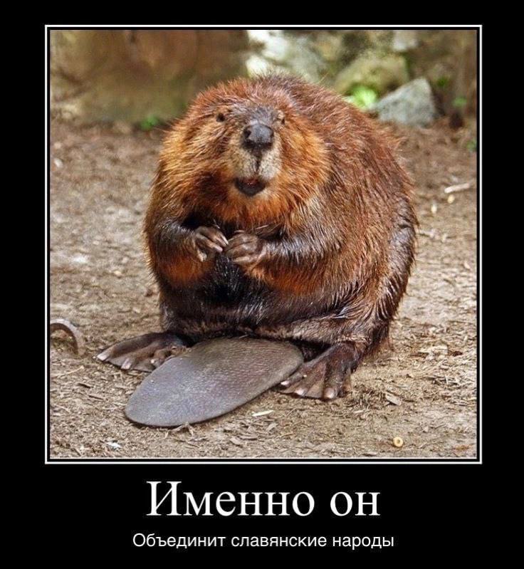 у А Sis Именно Объединит славянские народы