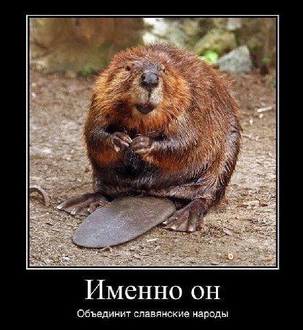у А Sis Именно Объединит славянские народы