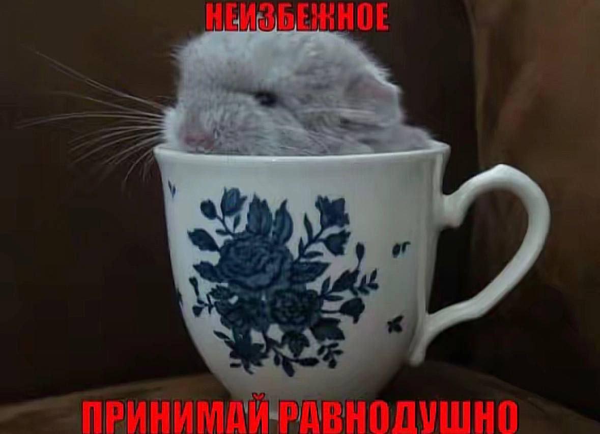 or ПРИНИМДИ