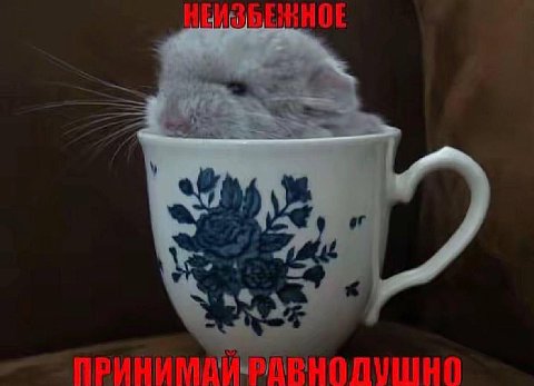 or ПРИНИМДИ