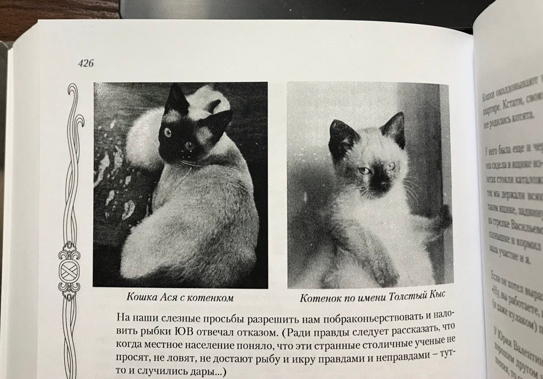 426 eae #5 AHA) Кошка Ася с котенком Котенок по имени Толстый Кыс На наши слезные просьбы разрешить нам побраконъерствовать И нало- вить рыбки отвечал отказом. (Ради правды следует рассказать, ученые 