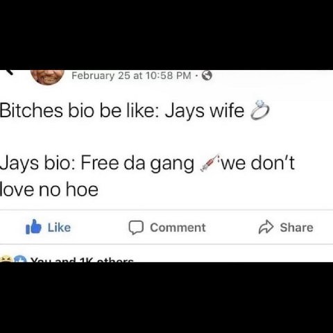 February 25 at 10:58 Bitches bio be like: Jays wife Jays bio: Free gang don't love no hoe Like Comment А» Share