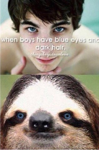 have blue dark