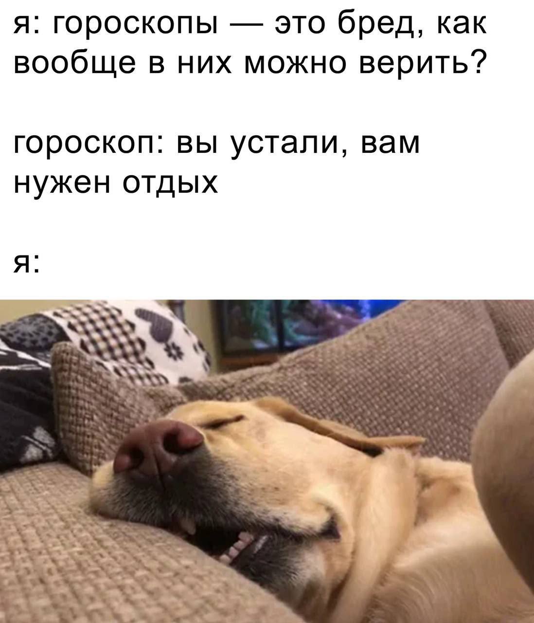 я: гороскопы это бред, как вообще в них можно верить? гороскоп: вы устали, вам нужен отдых я: