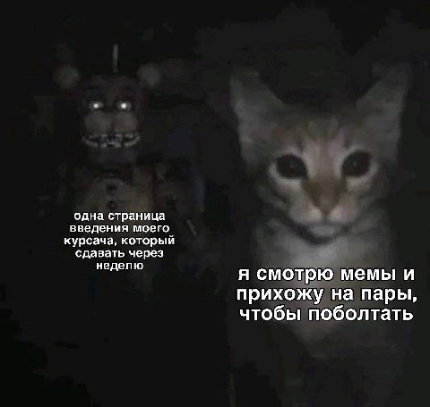 одна страница введения моего курсача, который сдавать через неделю я смотрю мемы и прихожу на пары, чтобы поболтать