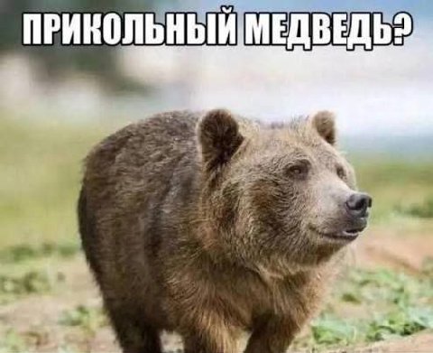 ПРИКОЛЬНЫЙ