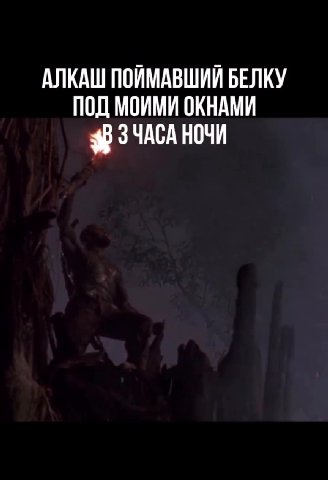 АЛКАШ ПОЙМАВШИЙ БЕЛКУ ПОД МОИМИ ОКНАМИ В ЗЧАСА НОЧИ