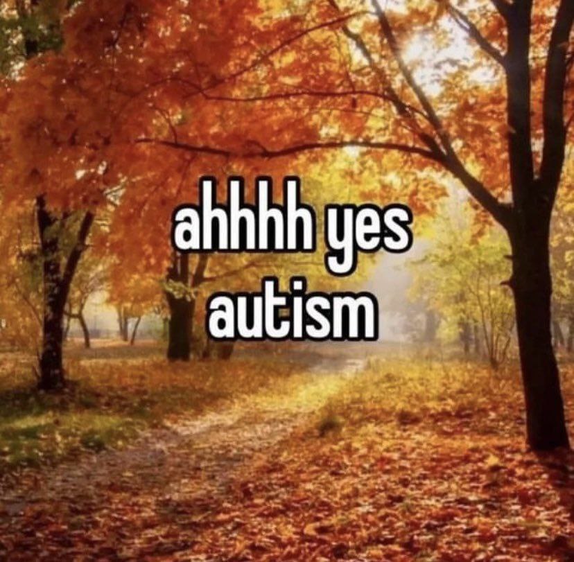 у 2 4 ahhhh a yes