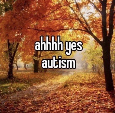 у 2 4 ahhhh a yes