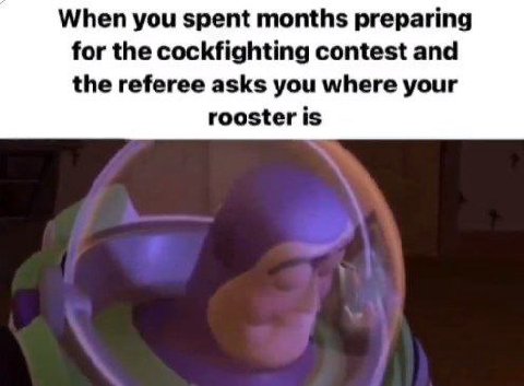 When you spent months preparing for the cockfighting contest and the referee asks you where your rooster is