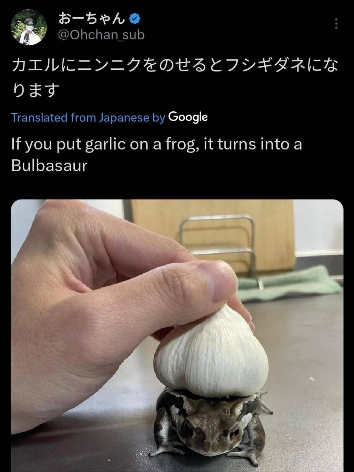 @Ohchan_sub DET Translated from Japanese Google If you put garlic on a frog, it turns into a Bulbasaur