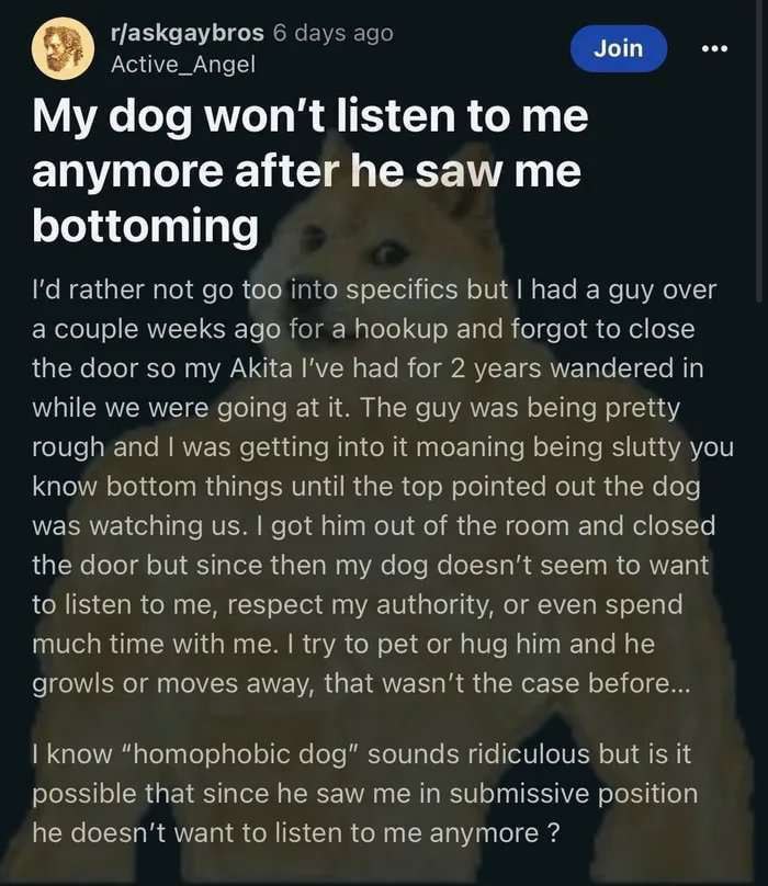 Join My dog won't listen to me anymore after he saw me bottoming rather not too 2 specifics but a guy over weeks ago. anc forgot to close the coor so my Akita Гуе nad for 2 years wandered in while we 