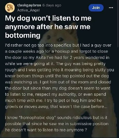 Join My dog won't listen to me anymore after he saw me bottoming rather not too 2 specifics but a guy over weeks ago. anc forgot to close the coor so my Akita Гуе nad for 2 years wandered in while we 