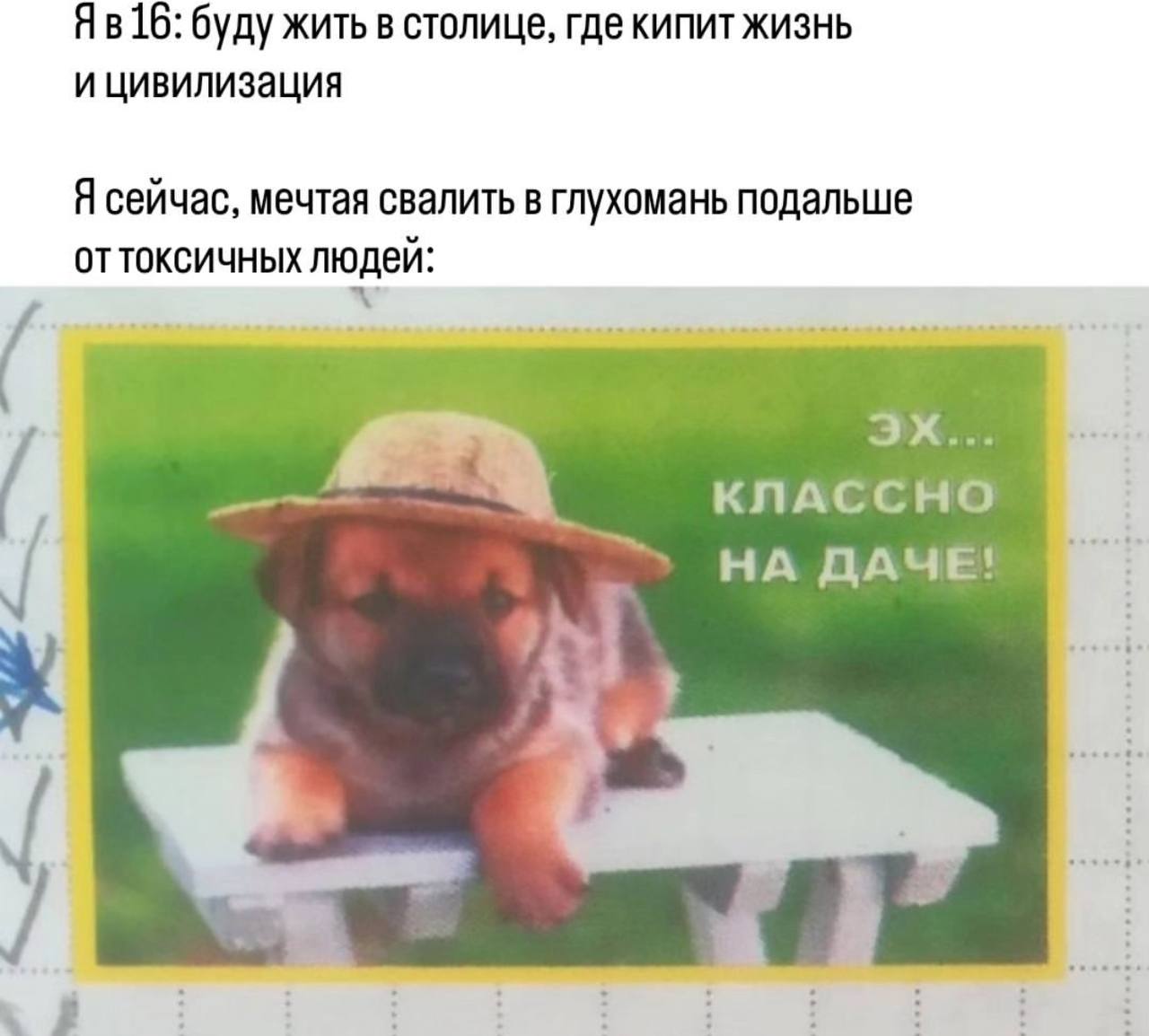 буду жить в столице, где кипит жизнь и цивилизация Я сейчас, мечтая свалить в глухомань подальше оттоксичных людей: KNACCHO НА ДАЧЕ!