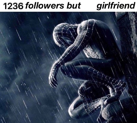 1236 followers but