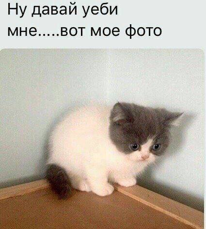 Ну давай уеби мне BOT мое фото