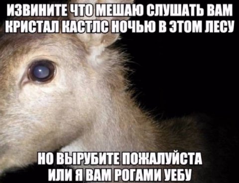 ИЗВИНИТЕ ЧТО МЕШАЮ СЛУШАТЬ ВАМ КРИСТАЛ КАСТЛС НОЧЬЮ В ЭТОМ ЛЕСУ ВЫРУБИТЕ ПОЖАЛУЙСТА ИЛИ Я ВАМ РОГАМИ УЕБУ