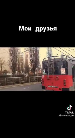 Мои друзья