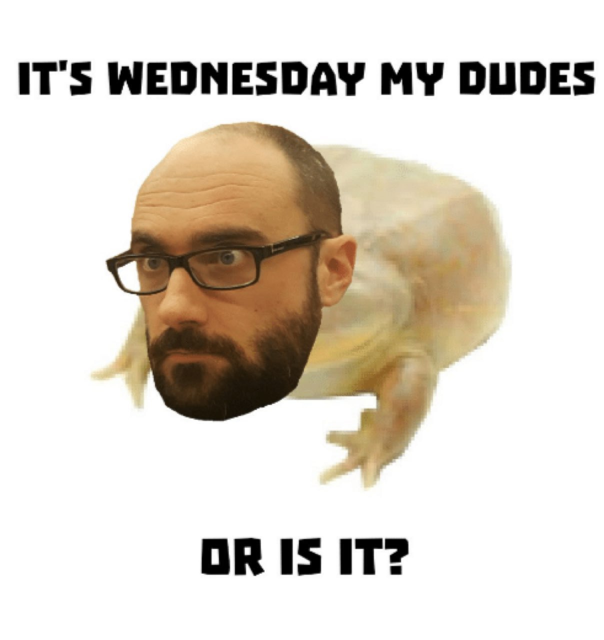 IT'S WEDNESDAY MY DUDES OR IS IT?